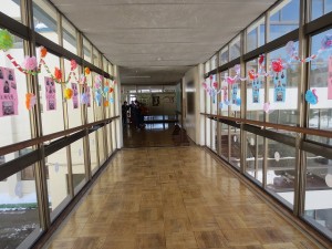 IMG_2503